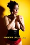 British () 34 bust size escort girl