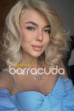 stunning Russian blonde escort girl in Gloucester Road