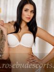 Stacie big tits brunette escort in knightsbridge, good reviews