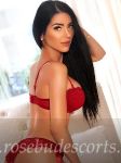 amazing European cheap escort in Paddington