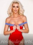 caucasian escort Andalucia from Bayswater
